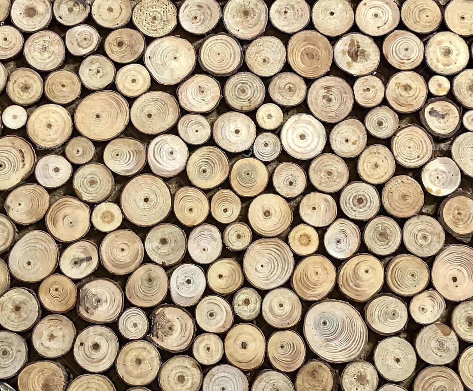 Small circles of wood