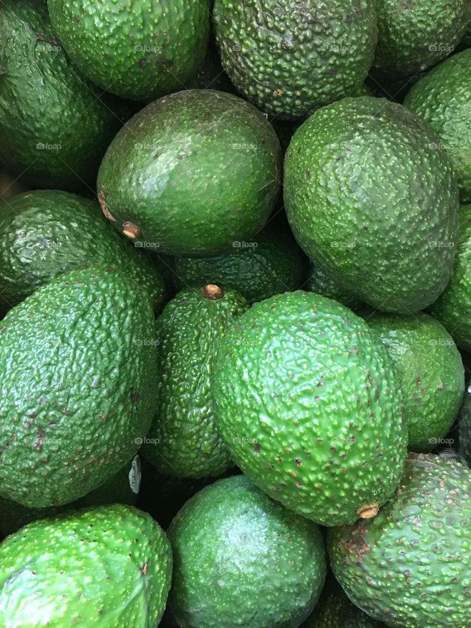 Avocados 