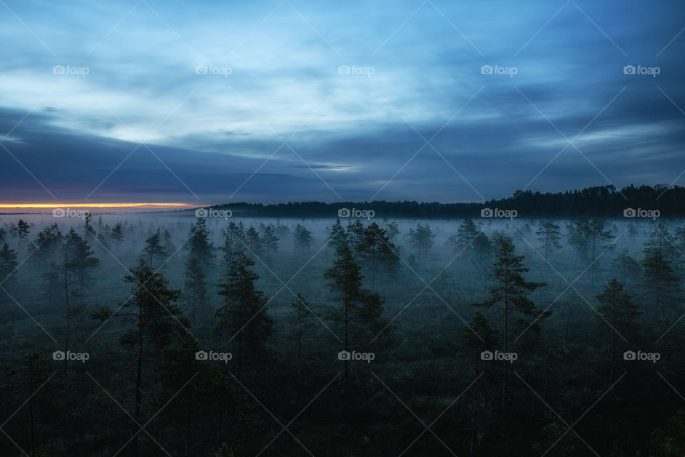 Silhouettes. Shadows. Night. Fog.