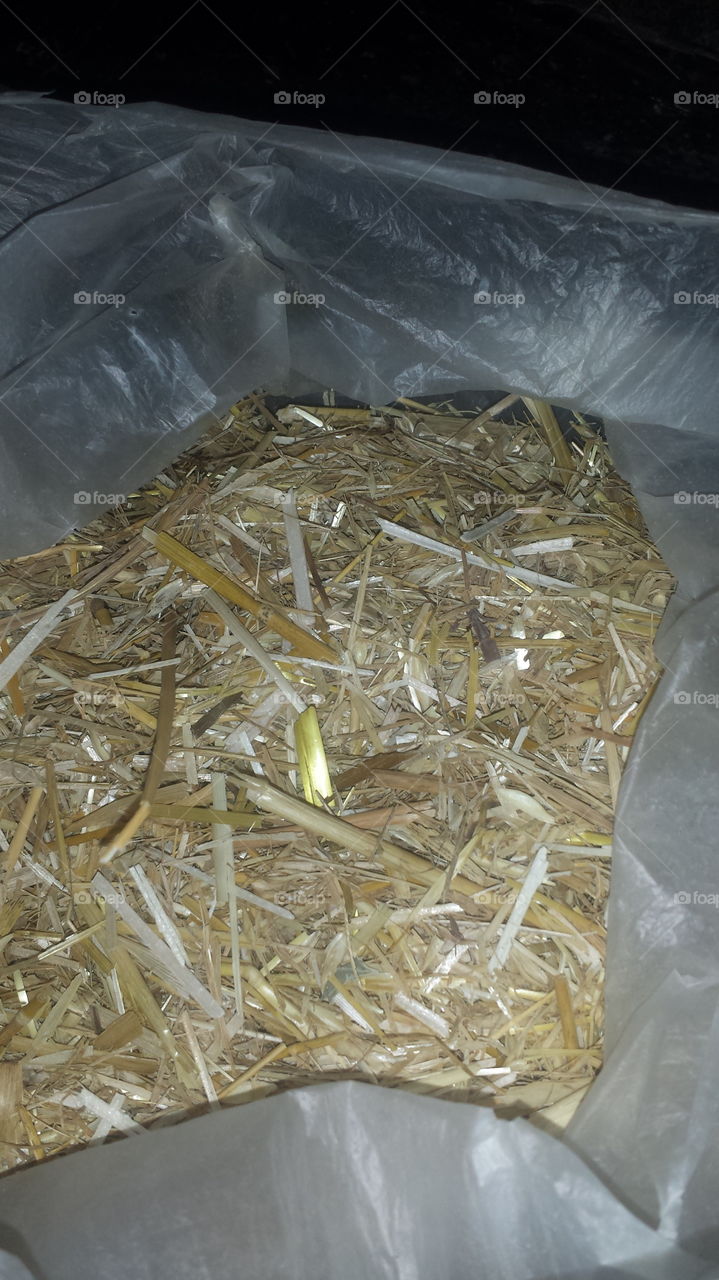 Garbage, Recycling, Foil, Waste, Trash