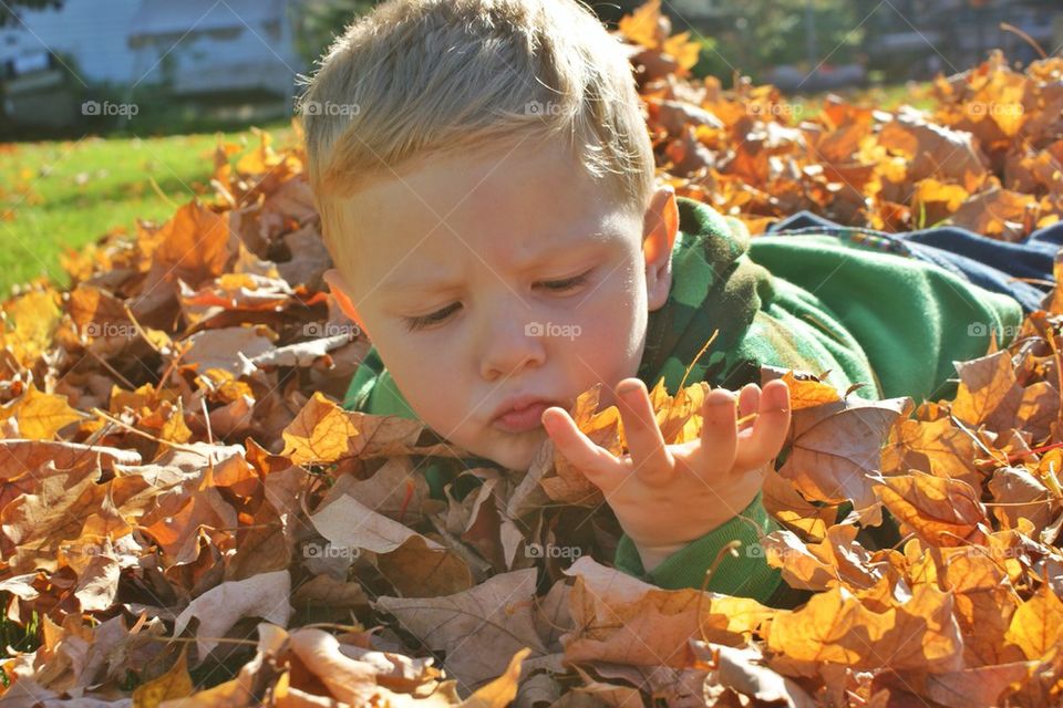 Why so many leaves?