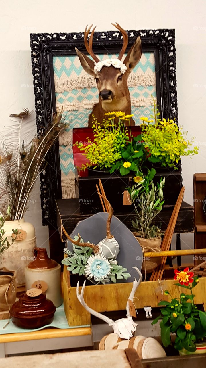 rustic deer decor