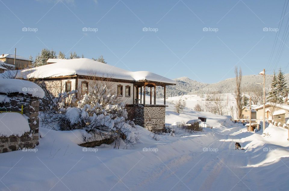 Beautiful Winter in Ravnogor Village, Bulgaria