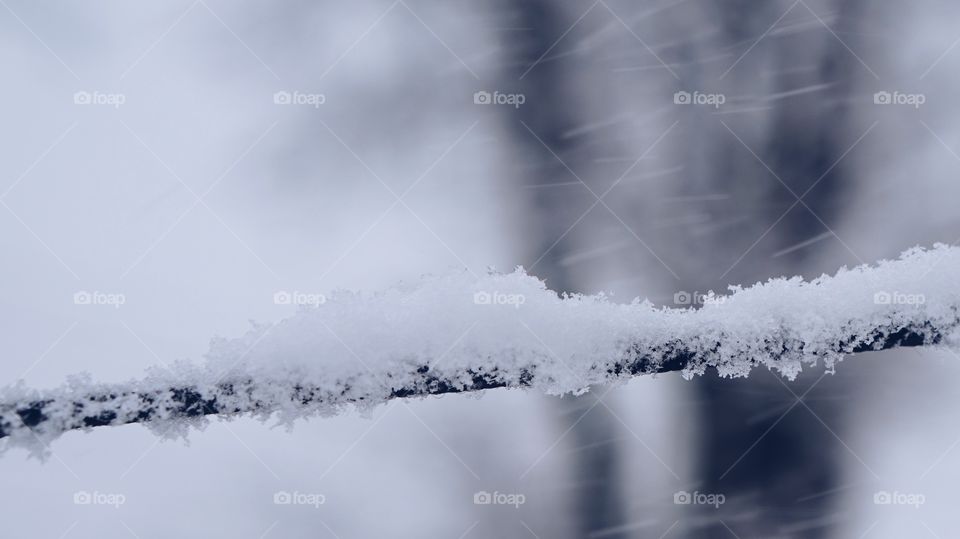 Snow, Winter, Ice, Cold, Landscape