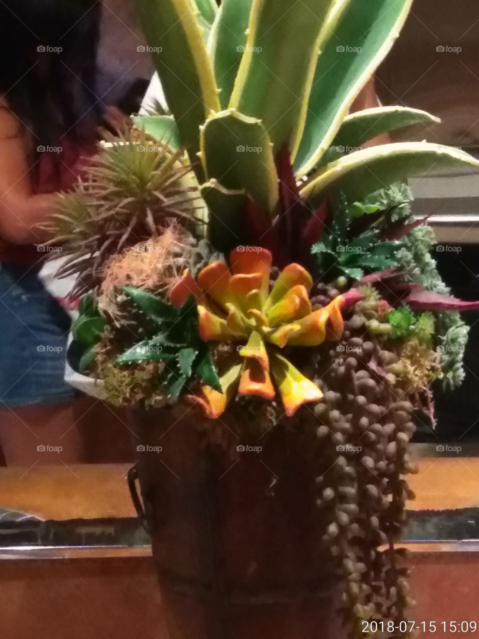 beautiful  arrangement