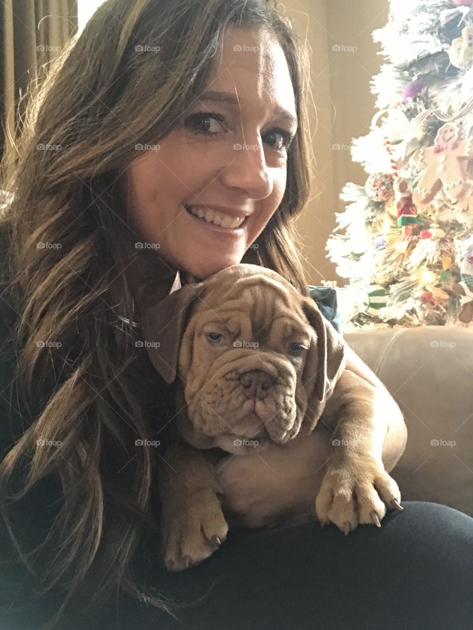 Cuddling with an adorable bulldog puppy in front of a Christmas tree. 