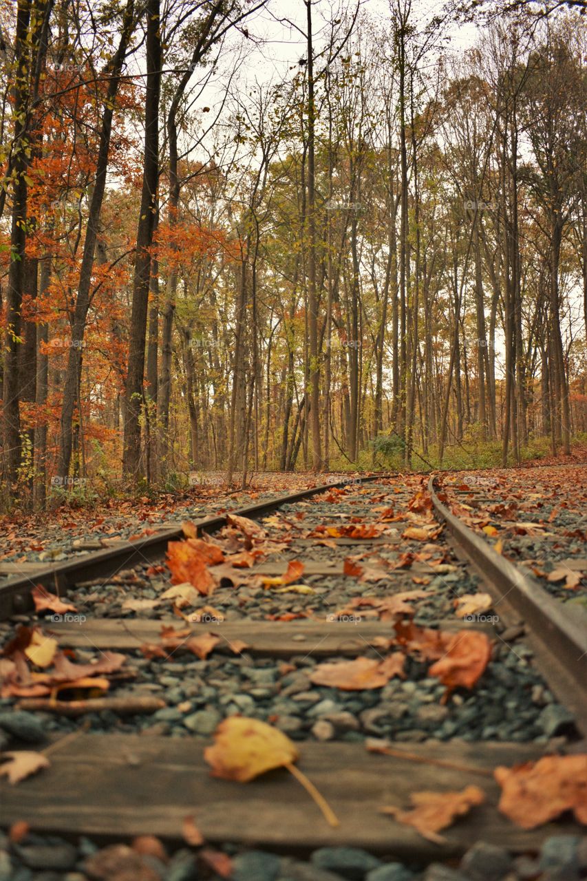 Fall Railroads