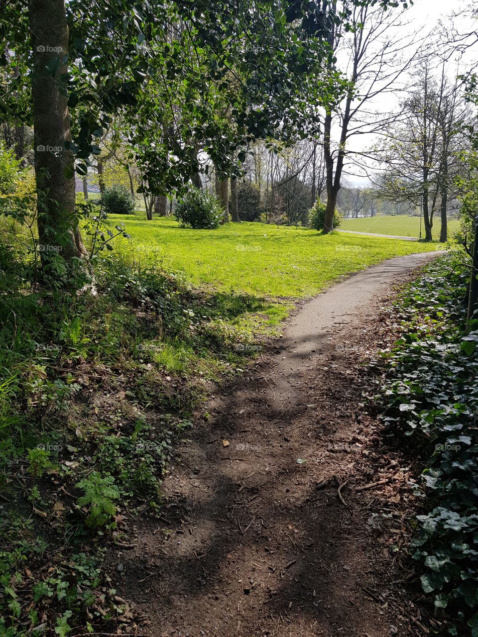Path leading to park on a sunny spring day.