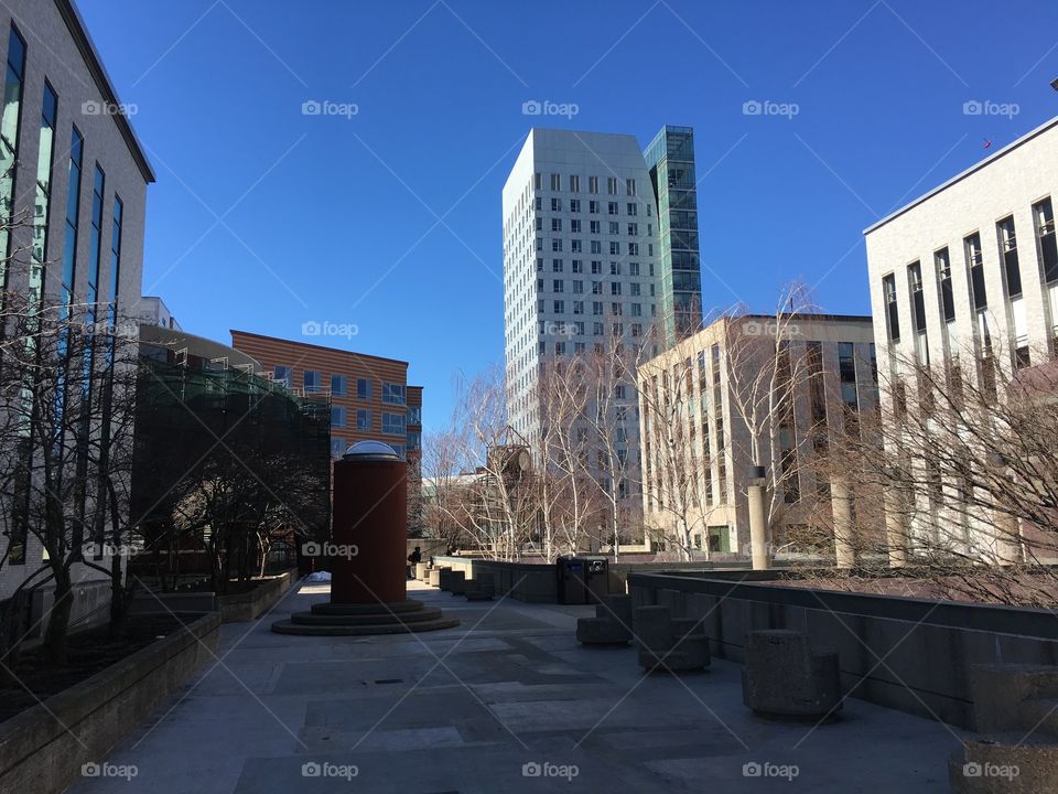 Northeastern University in Boston