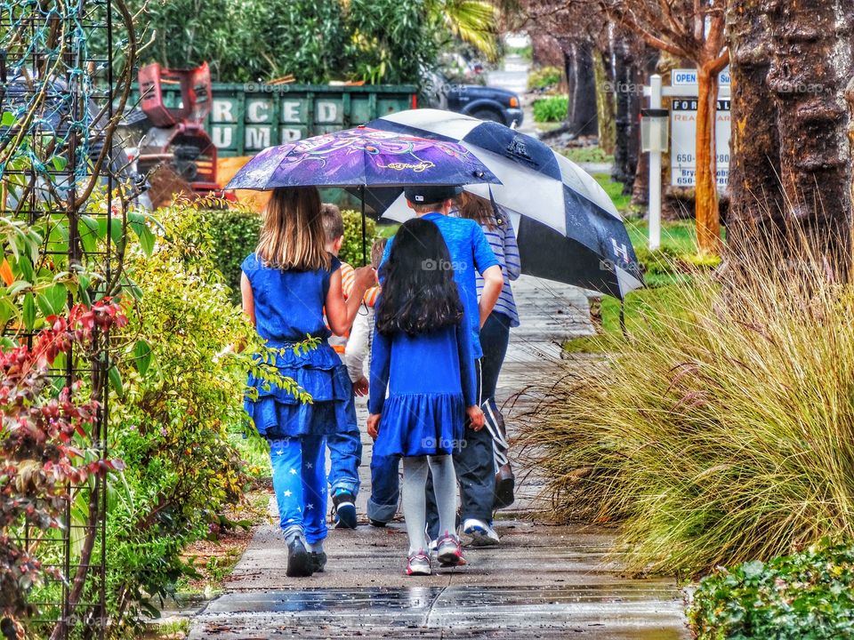 Kids With Umbrellas. Children Walking On A Rainy Street Under Umbrellas