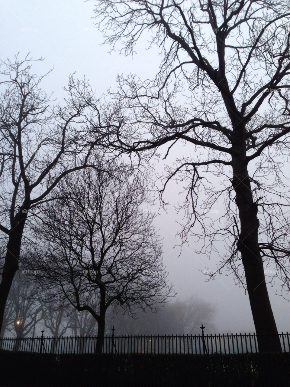 winter morning cold park by robinseet