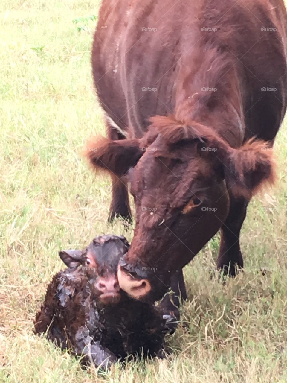 Just born. 