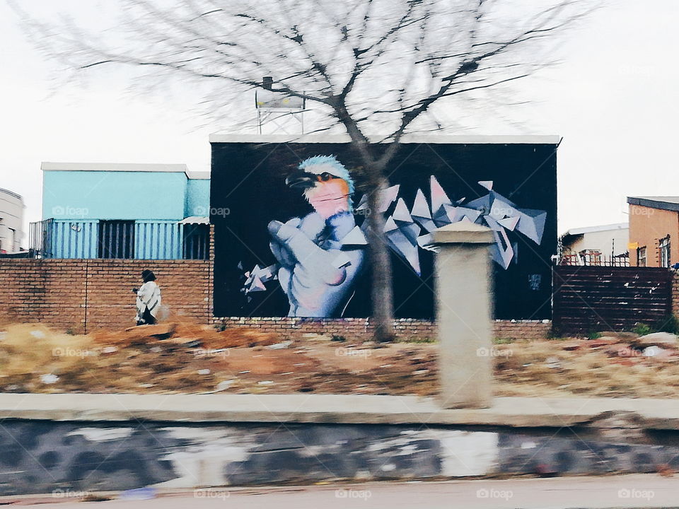 Johannesburg street art.