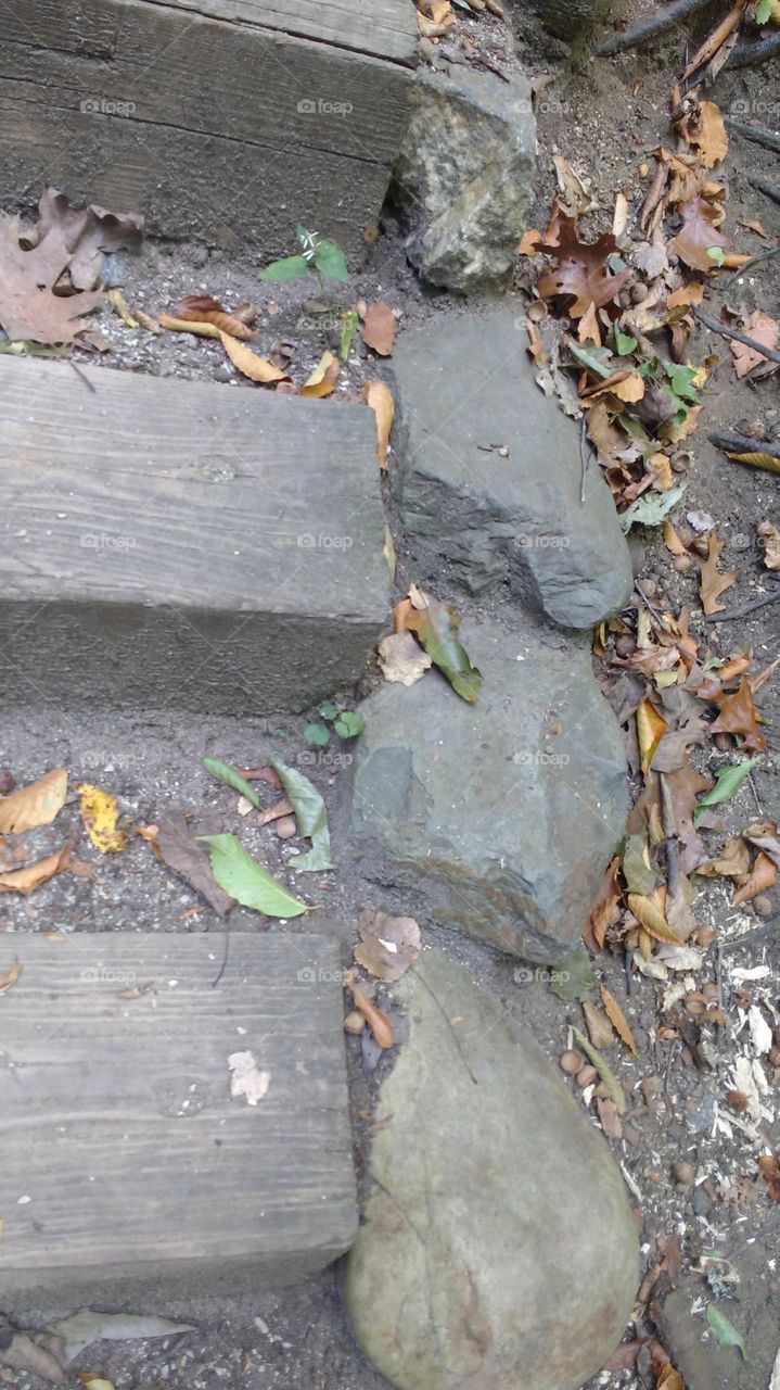 Stairs and Rocks