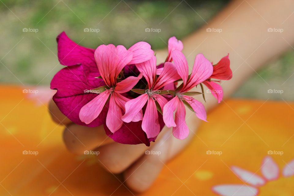 offering flower