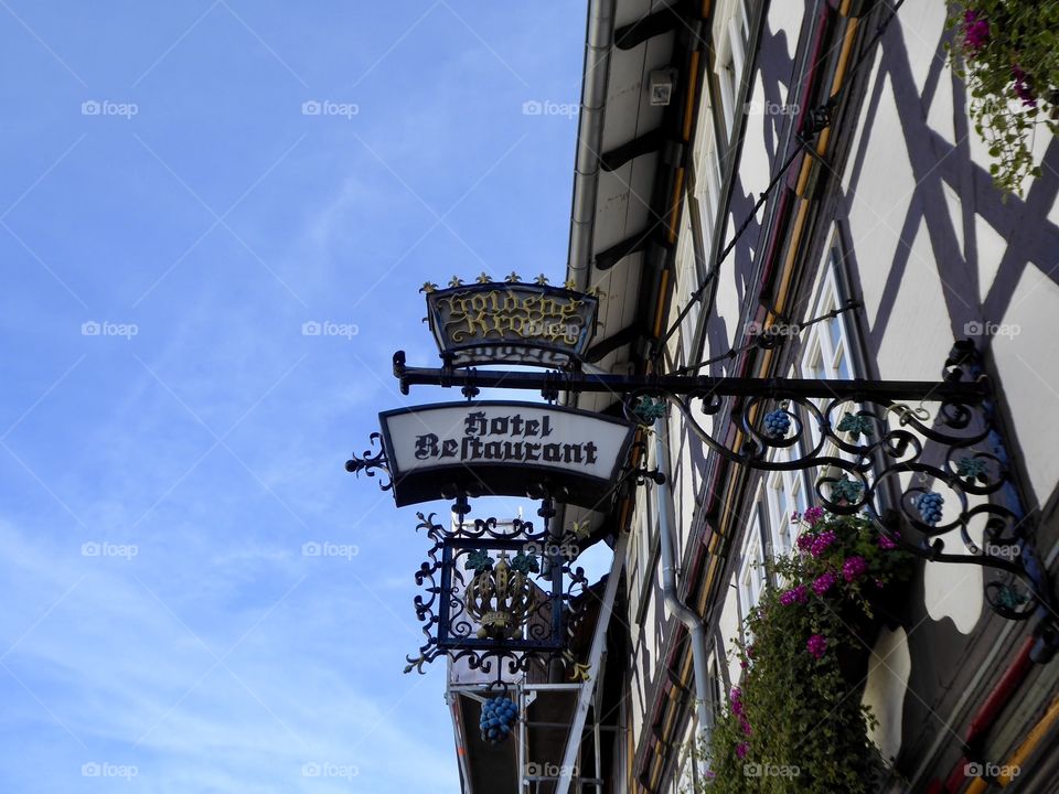 Timbered House 