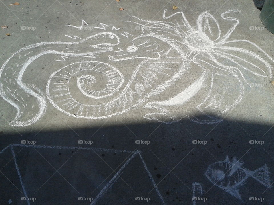 Seahorse Chalk