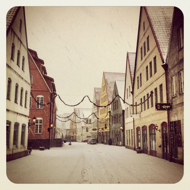 WINTER DAY