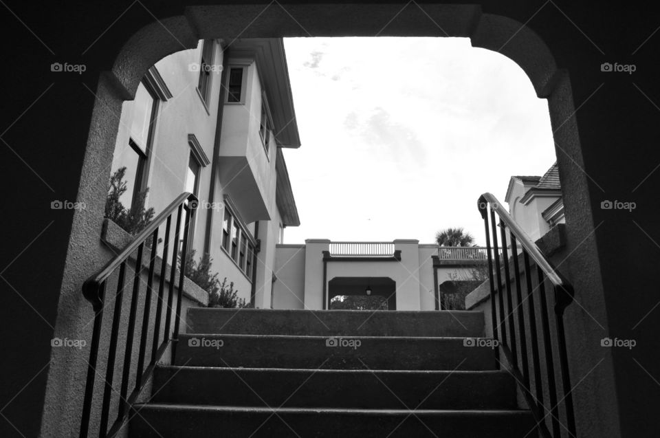 Black and white from below