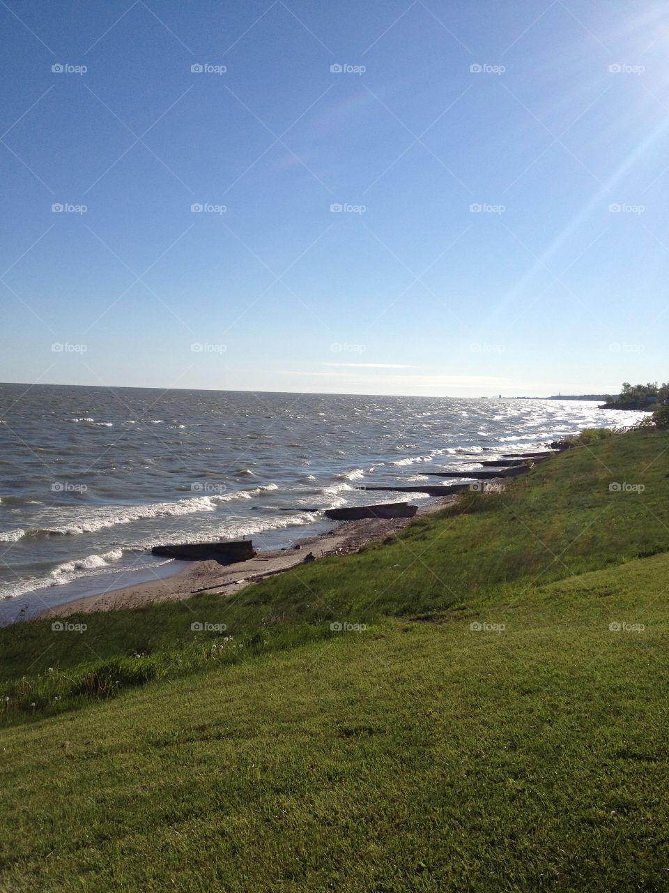 On the grassy shoreline 