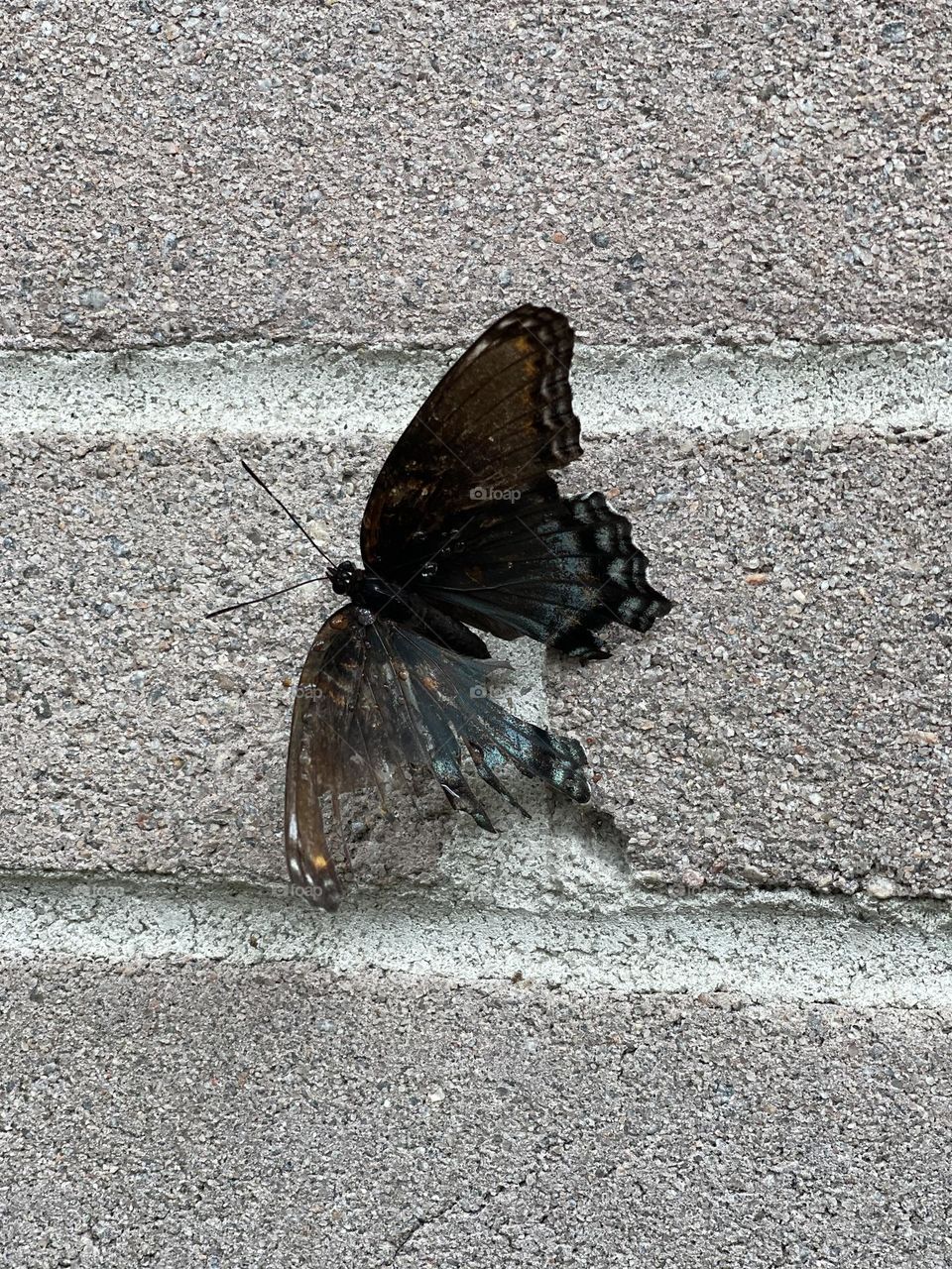 Broken But Beautiful 