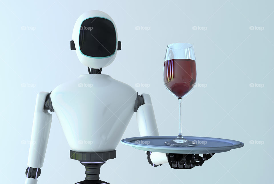 Service robot