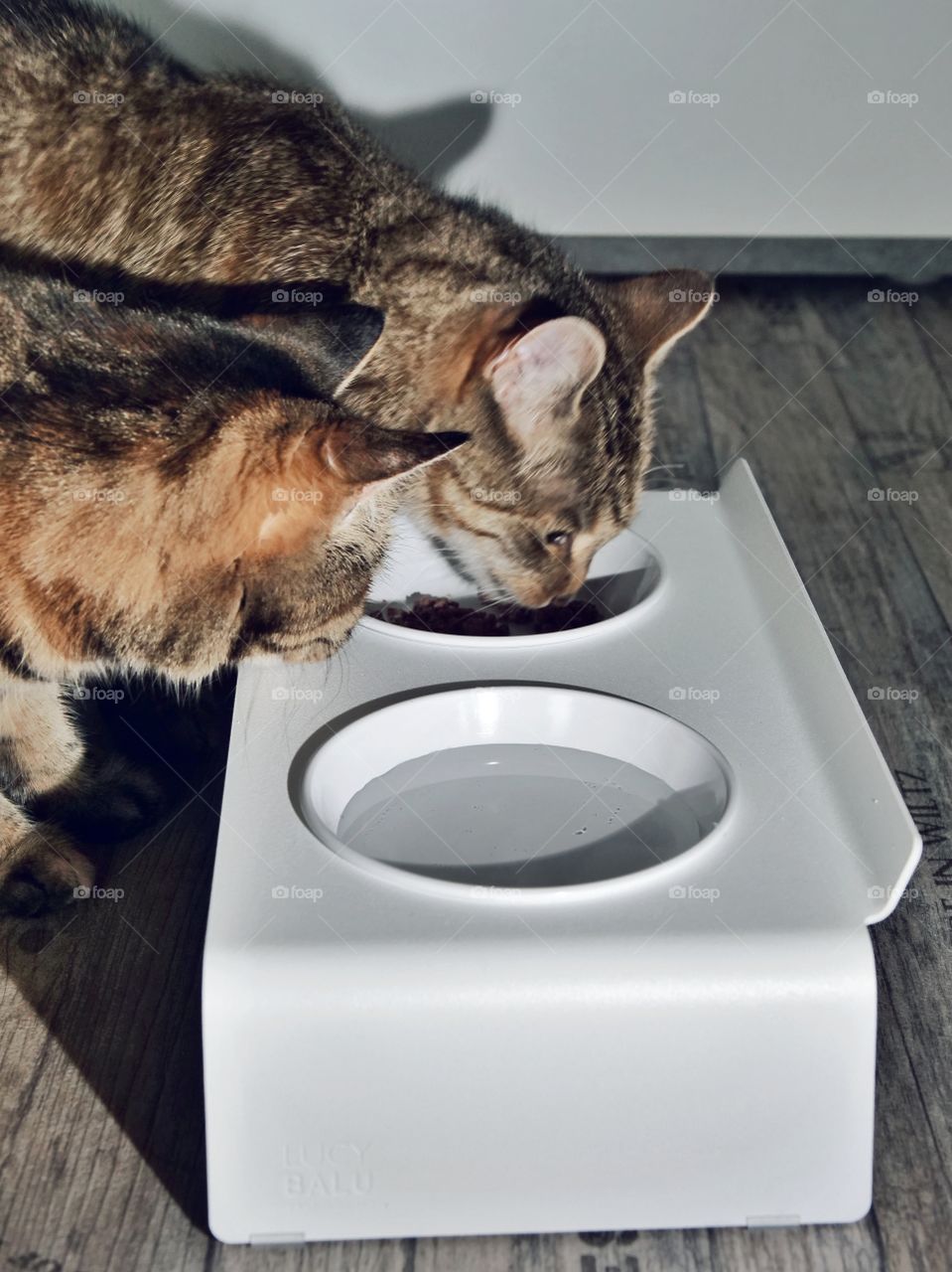 LucyBalu Duo Dining Station