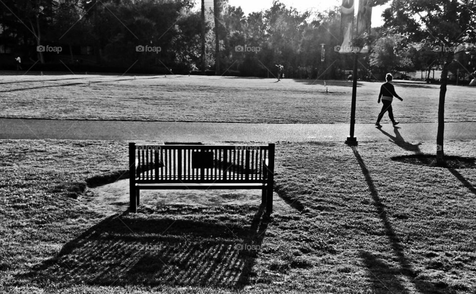 Park. Bench. 