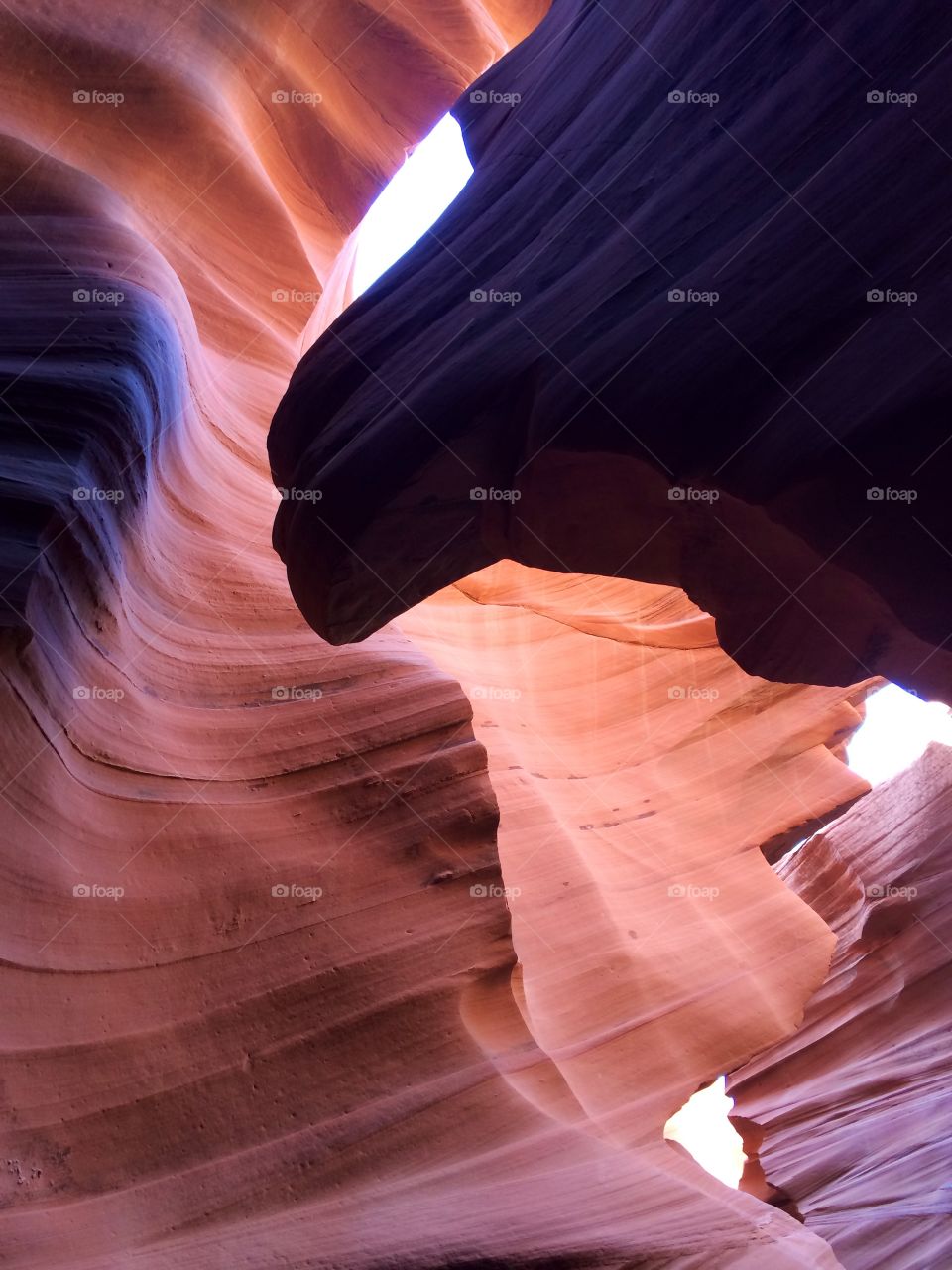 Lion's head in Antelope Canyon