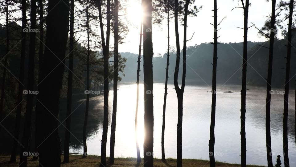 This is the Pang Ung Royal Project Development Center.