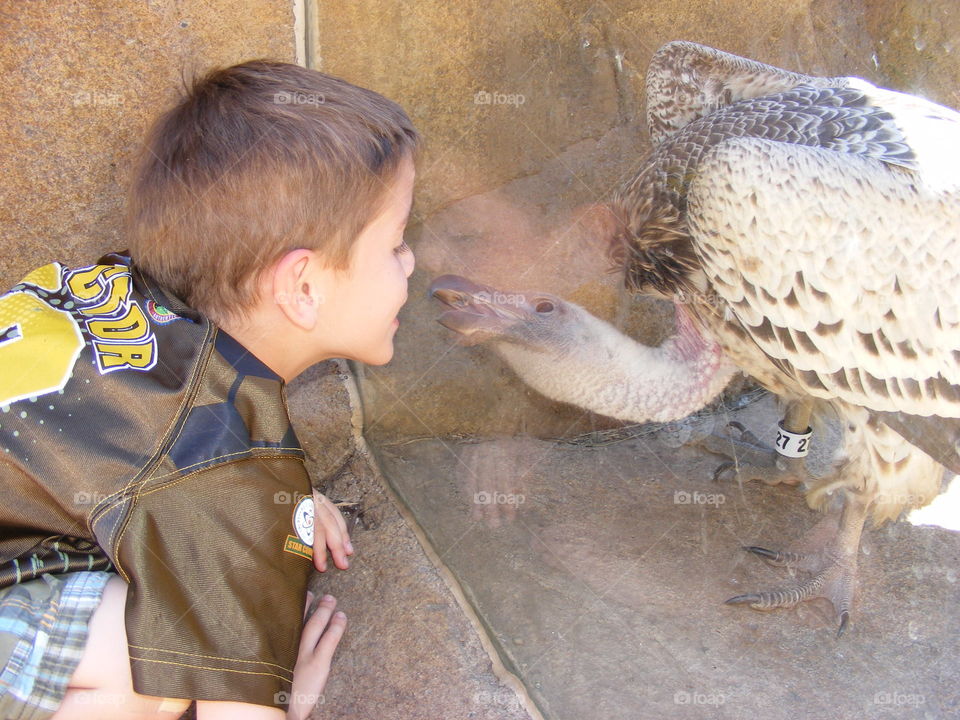 A boy and a bird interacting through the glass.