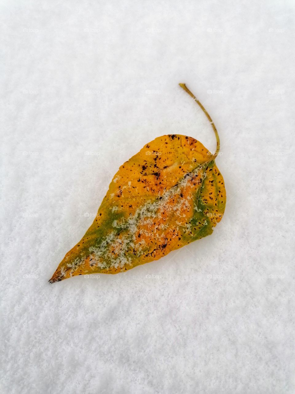 Winter arrived in Finnish Lapland in October.