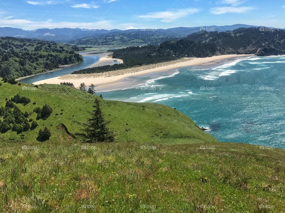 Cascade Head Trail