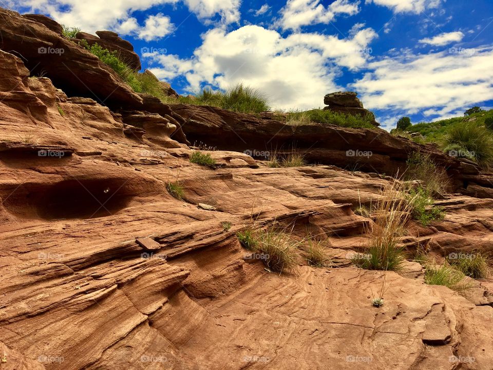 Dried up river bed 