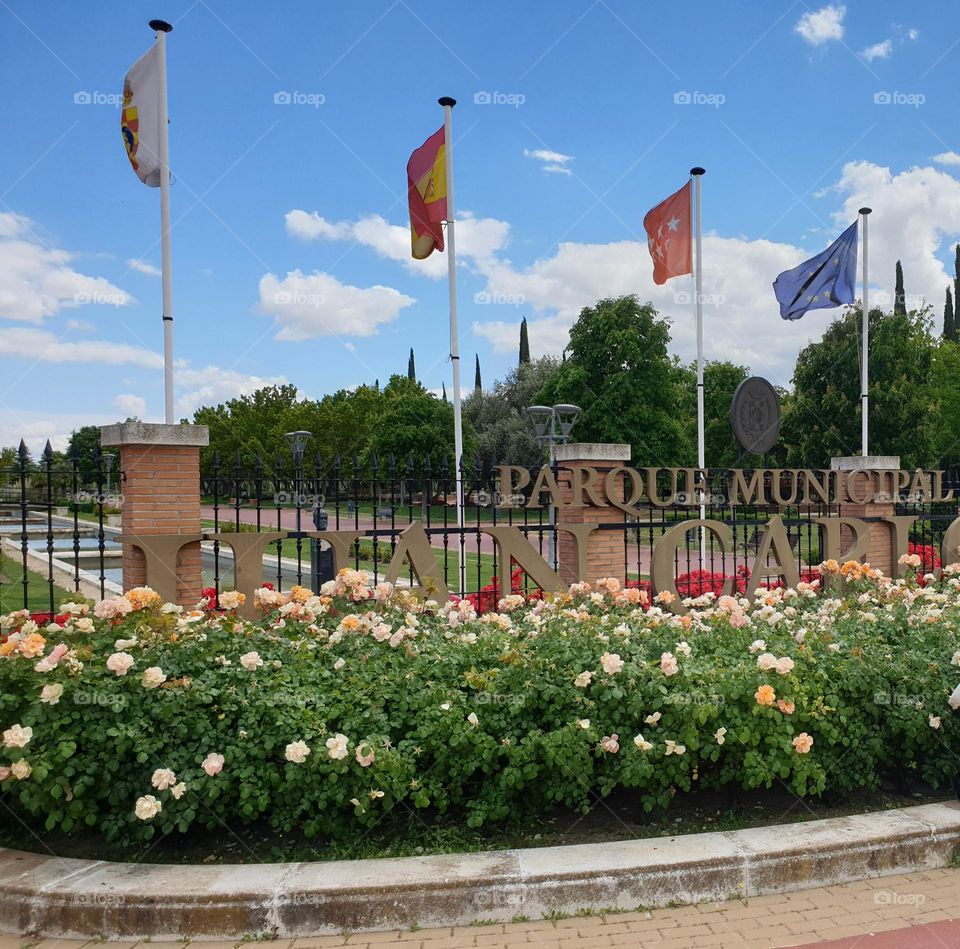 Municipal Park Juan Carlos I. Pinto Spain Beautiful Garden