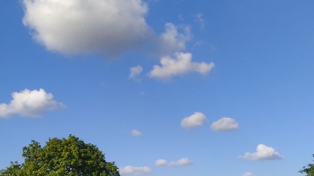 The cottons in the sky