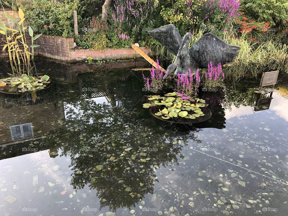 Villagers of Castle Cary have created their own “magical nature” with this “Horse Pond Project,” taking Centre stage in their village.