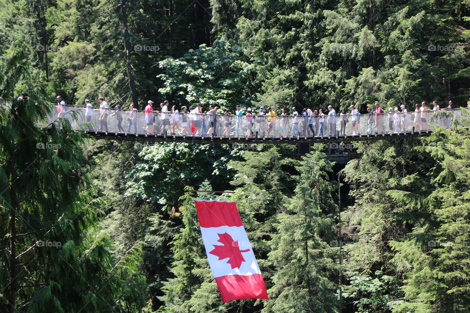 Capilano suspension bridge high into the woods , very crowded .. Canadian flag waving proudly down to Capilano River