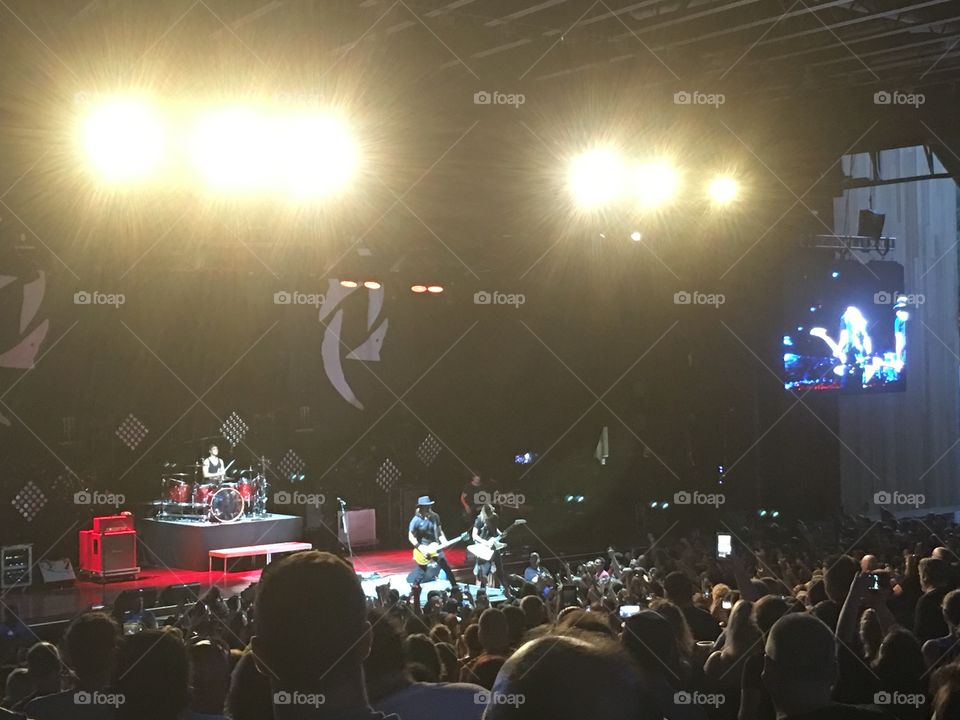 Performance, Concert, Music, Audience, Singer