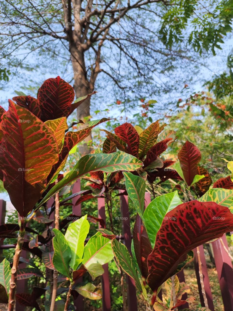 Part of beautiful nature around the corner