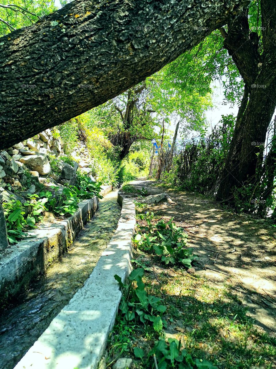 Countryside way the ultimate nature's beauty