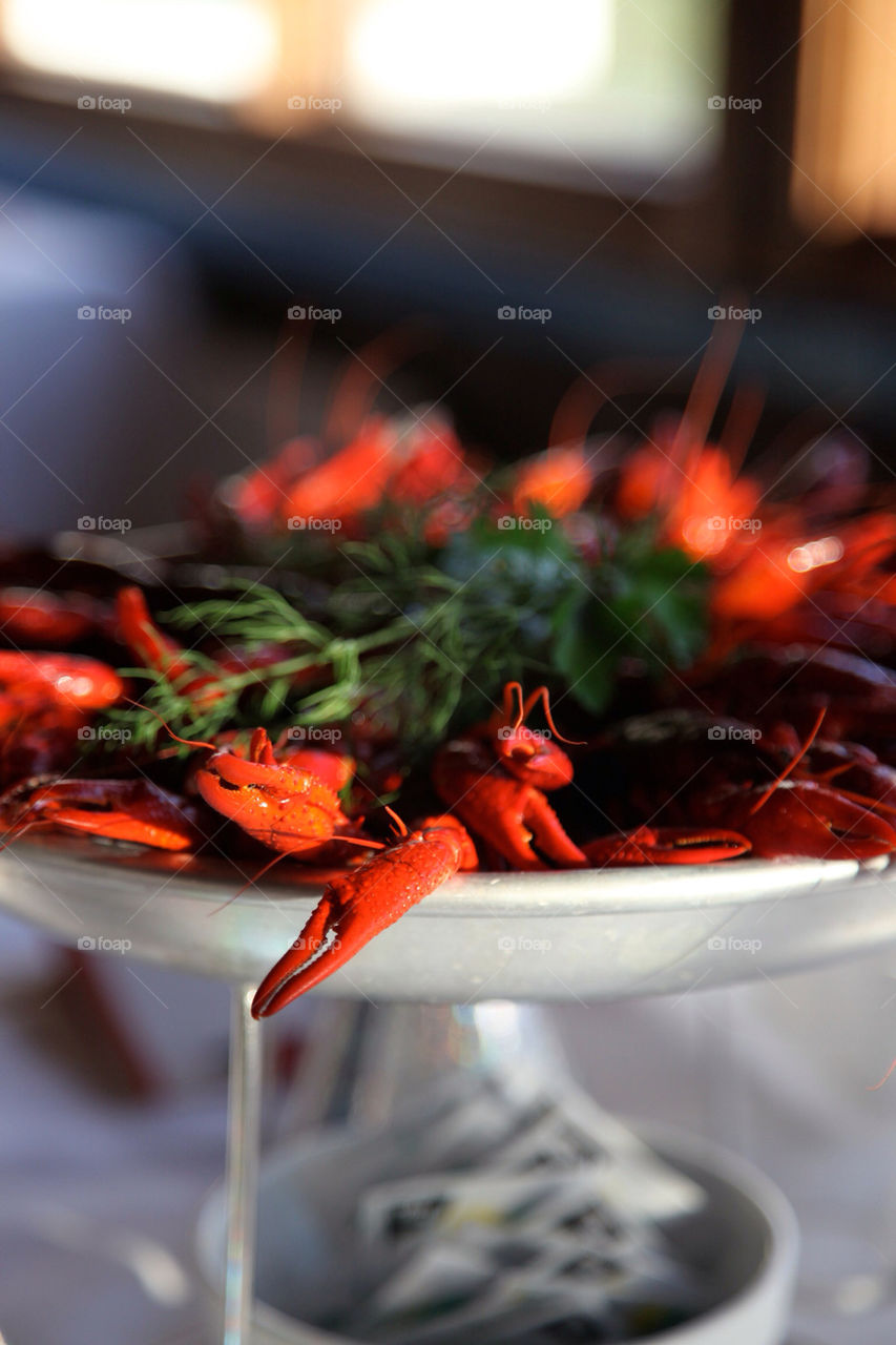 sweden crayfish by kallek