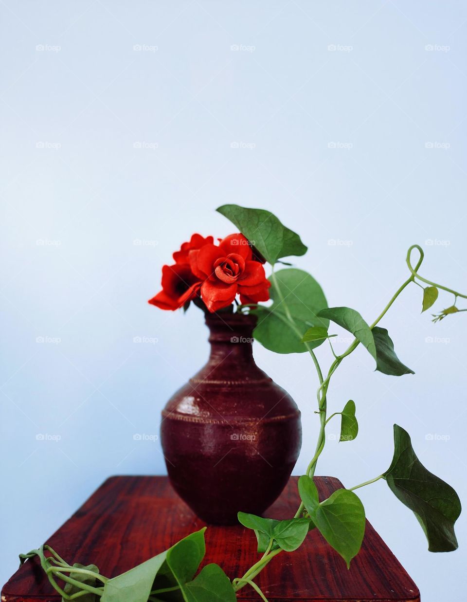 Beautiful flower pot