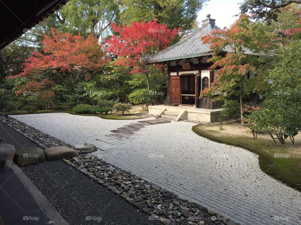 Japanese style garden. Kamakura,Japan