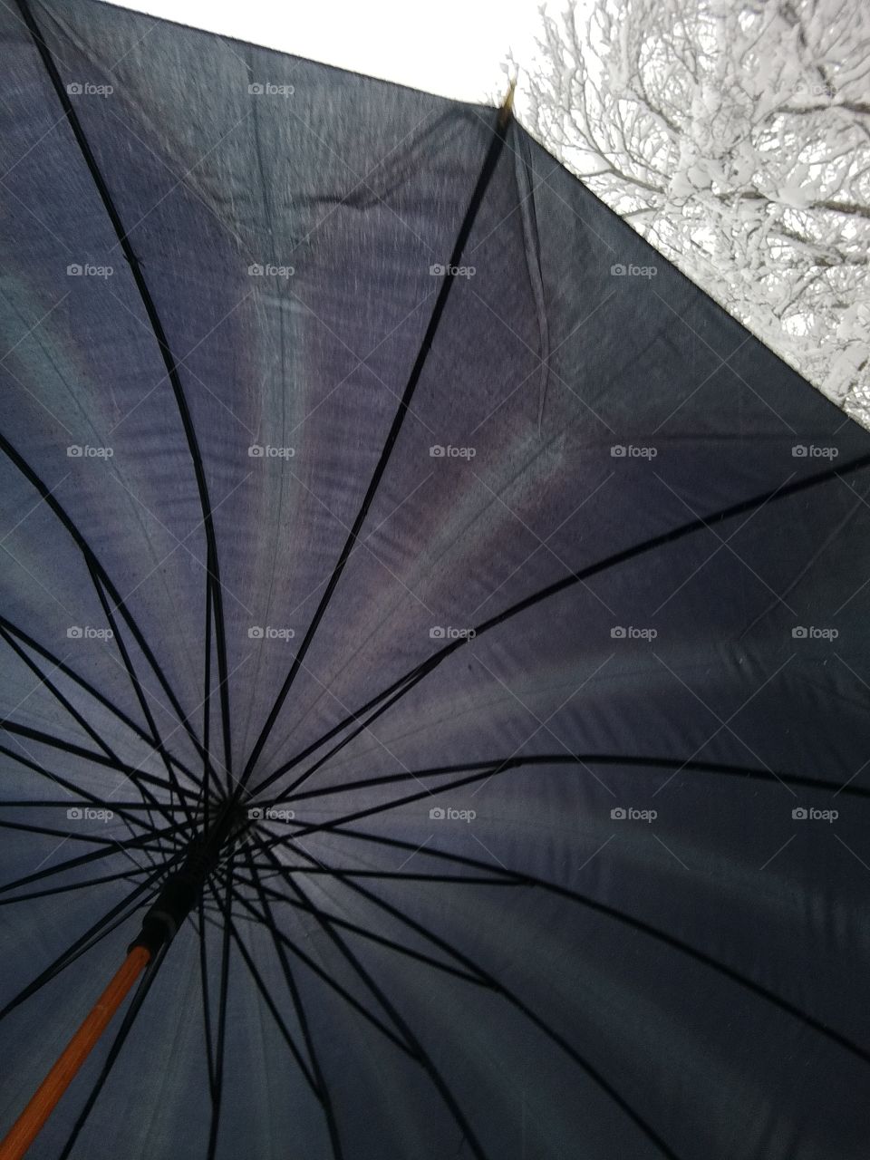 Do you need an umbrella?