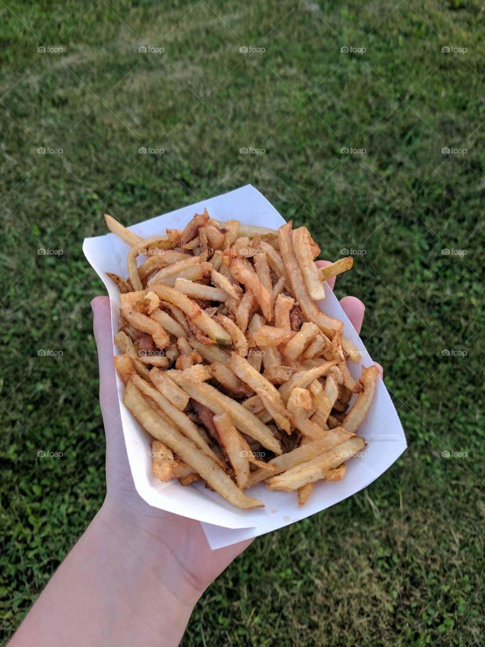 FAIR FRIES FOR LIFE 🍟