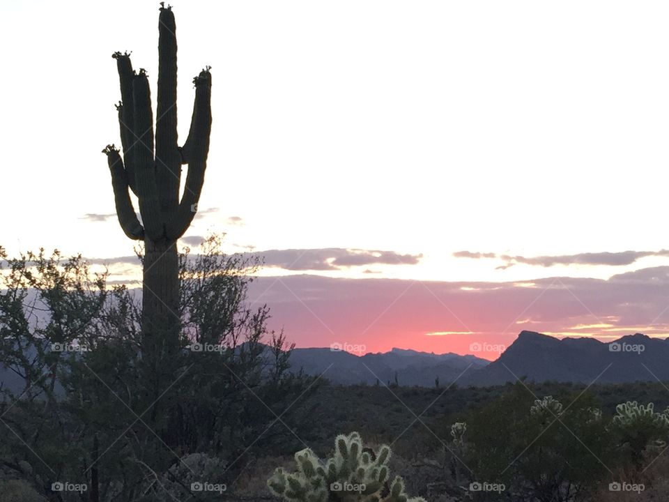 Desert sunset. Just another beautiful sunset in AZ