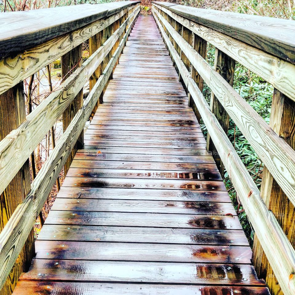 Water on the Bridge