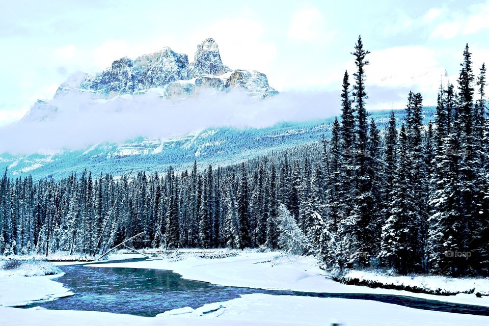 View of frozen lake and forest in winter