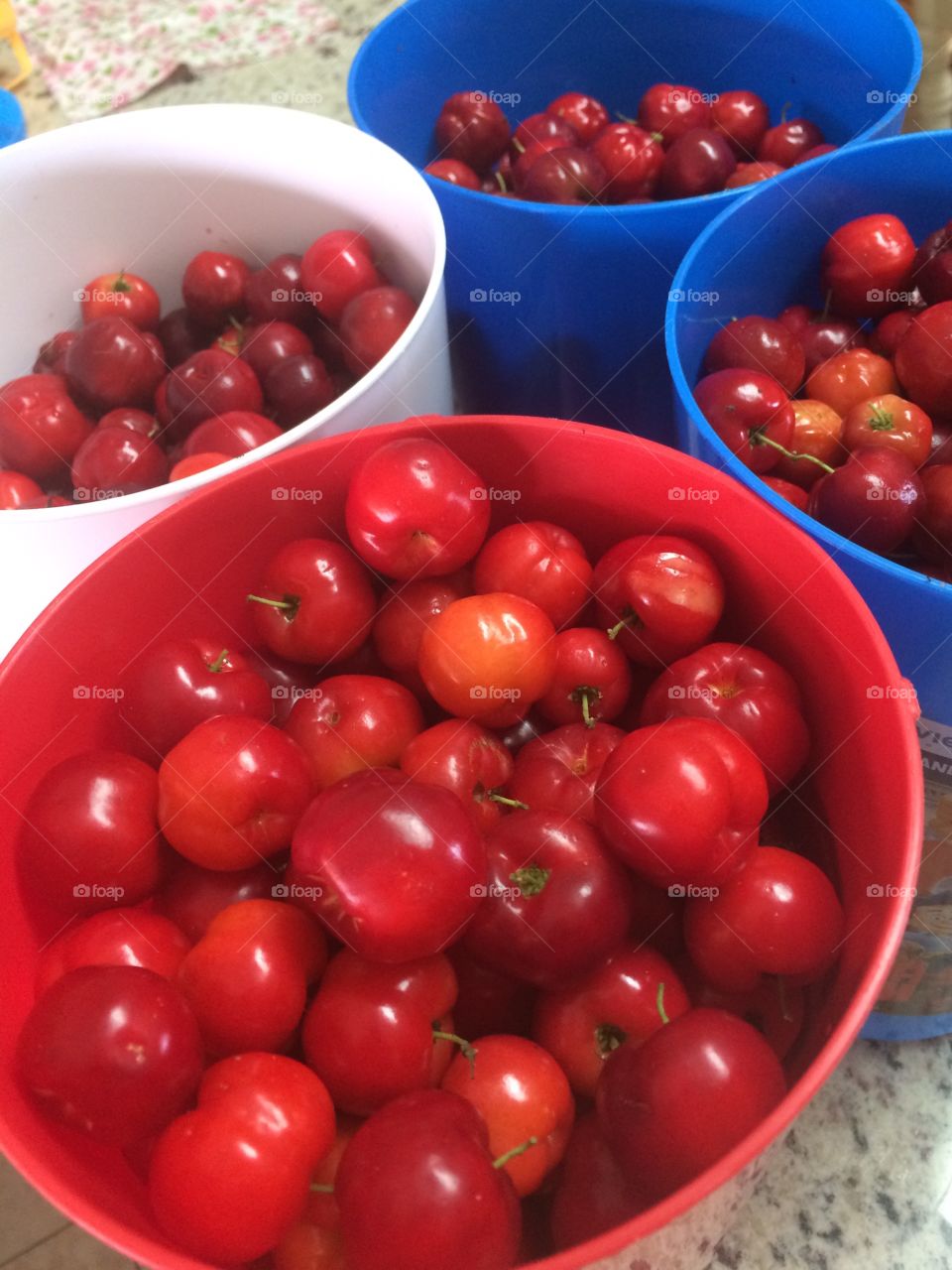 Acerola deliciosas e colhidas no nosso pomar!